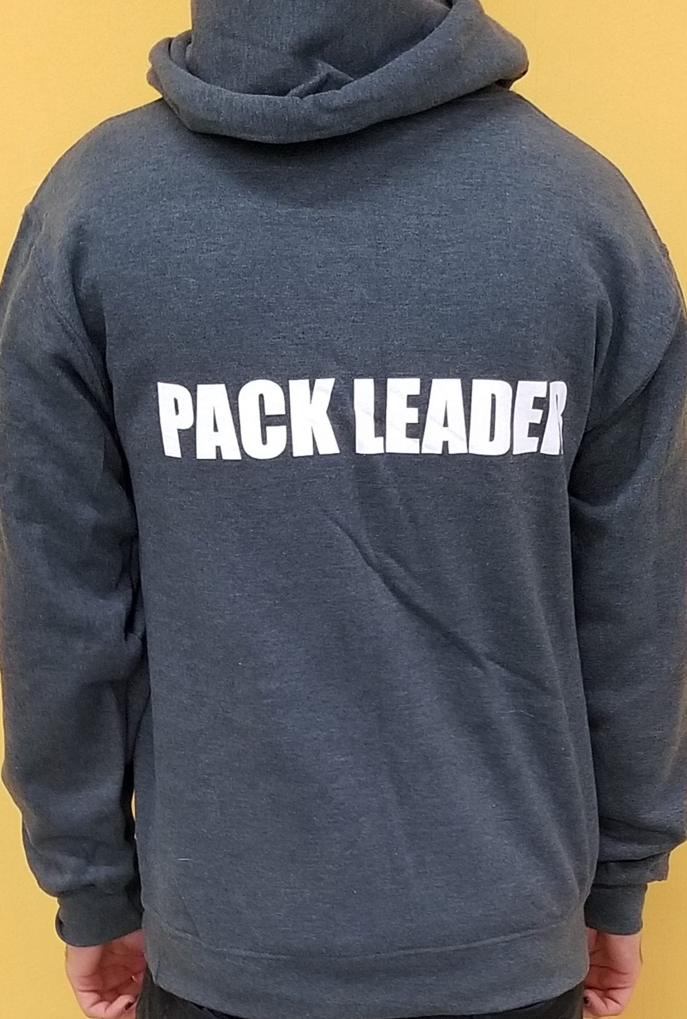 Leader of the Pack Canine Institute gray sweatshirt, back view
