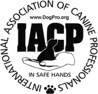 International Association of Canine Professionals (IACP) Badge - Leader of the Pack Canine Institute - Doggy Day Care