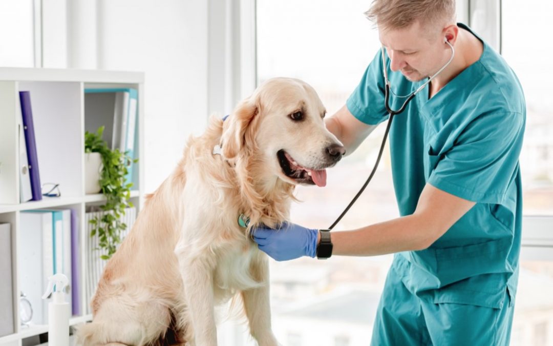 Screen Shot 2022 09 07 at 3.30.00 PM 1080x675