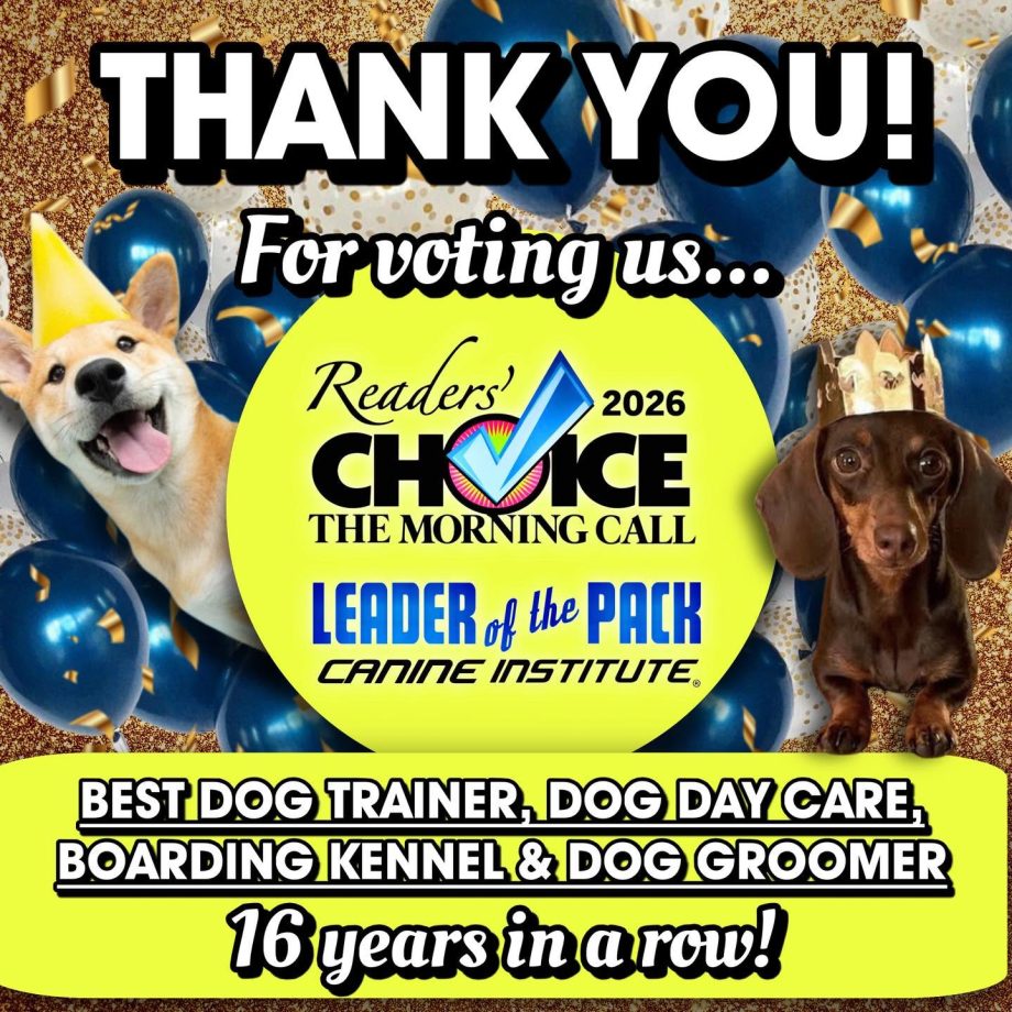 facebook post readers choice 2026